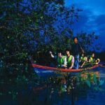 Fireflies Night Tour with Set Dinner - Who Should Consider This Tour?
