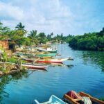 Fishing Village & Mangrove Tour Experince at Negombo (Starting from Colombo) - Practical Details That Matter