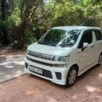 Flexible Budget Taxi Tours in Sri Lanka with English Support - What Makes This Tour Stand Out