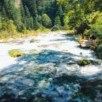 Flexible Jiuzhaigou Day Tour Options: Shared or Private - Self-Guided Ticket & Bus Pass: Freedom on Your Terms