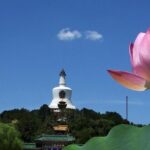 Flexible Private Beijing Layover Tour - Why This Tour Delivers Great Value