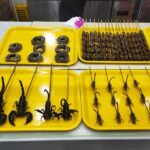 Flexible Private Layover Beijing Night Sightseeing with English Speaking Driver - Why This Tour Offers Great Value