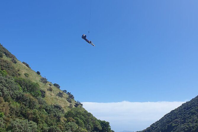 Fly By Wire New Zealand - The Experience in Action: What You Can Expect