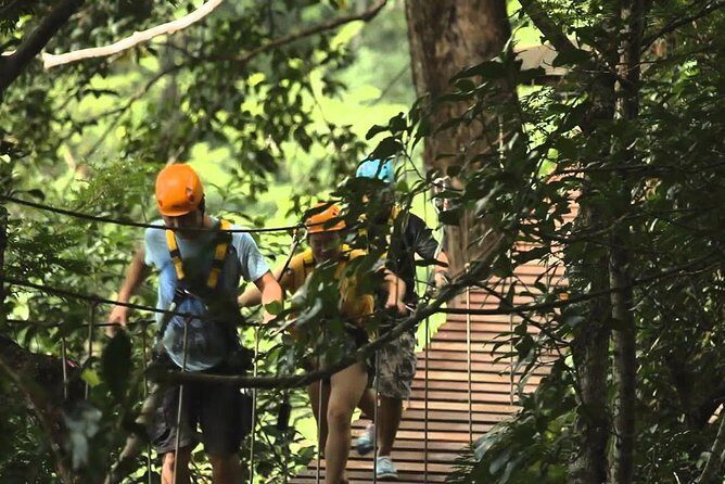 Flying Hanuman Ziplines 42 platforms With Lunch & Transfer RoundTrips - Who Is This Tour Best Suited For?