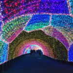 (For overseas) Tokyo: Yomiuriland After Pass Light Night - Rides and Attractions: Something for Everyone