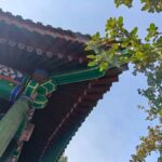 Forbidden City & Prince Gong's Mansion: Hutong Experience - Additional Highlights and Options