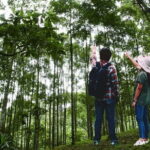Forest Research Institute Malaysia (FRIM) Nature Trekking Tour - Assessing the Value: Is This Tour Worth It?