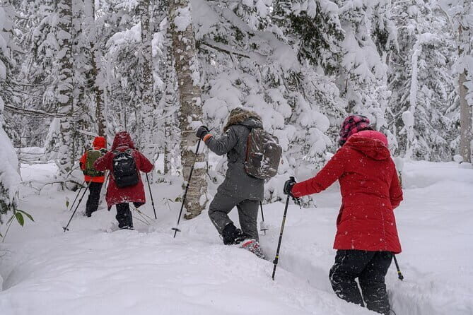 Forest Snowshoeing in White Birch and Blue River Course - What’s Included and What’s Not
