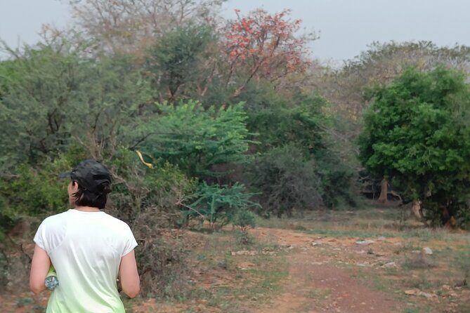 Forest Trail Hiking Adventure-Gurgaon by @Aravali.Hikes - Who Would Enjoy This Tour?