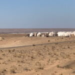 Fortress Day Trip Tour Departure from Khiva - Practical Details & What to Expect