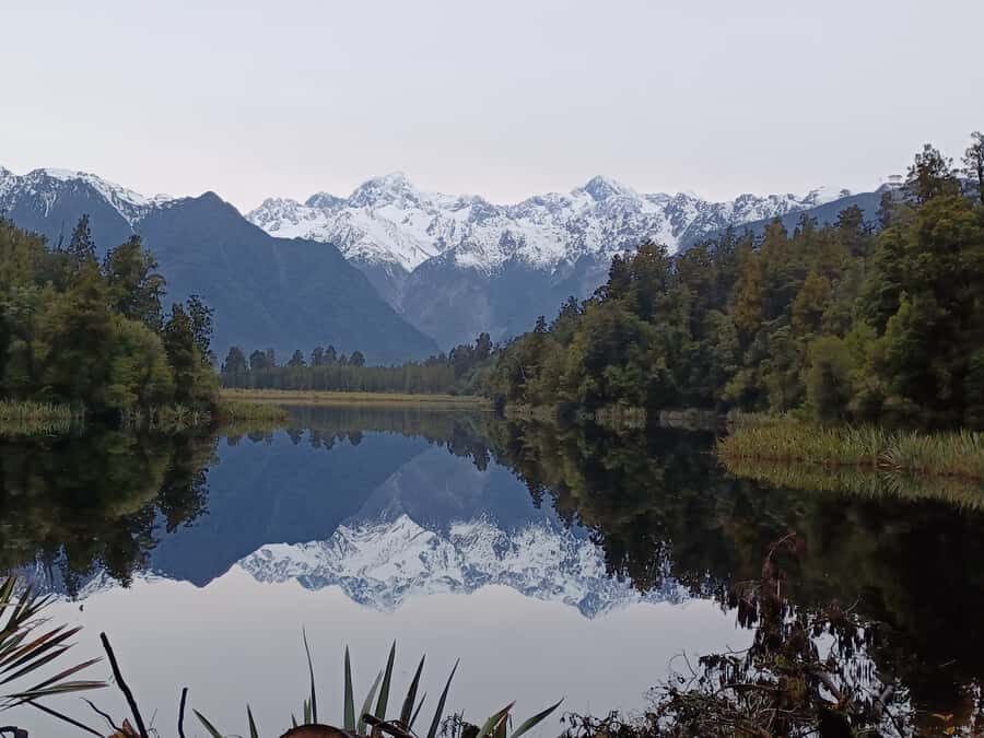 Franz Josef: Half-Day Nature Tour to Lake Matheson - Why This Tour Offers Great Value