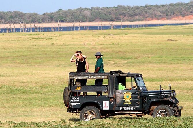 From Anuradhapura: Minneriya National Park Private Jeep Safari - Detailed Breakdown of the Safari Experience