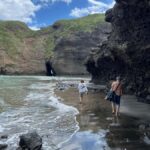 From Auckland: Guided Tour of Piha with Scenic Beach Walks - Transport, Duration, and Value