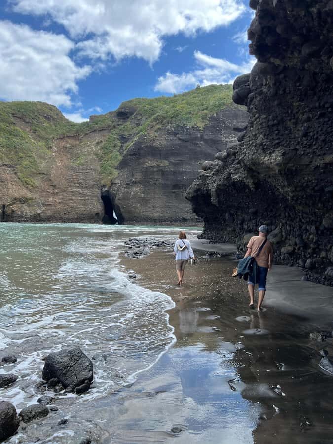 From Auckland: Guided Tour of Piha with Scenic Beach Walks - Transport, Duration, and Value