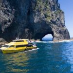 From Auckland: Hole in the rock cruise tour - Transportation and Group Size