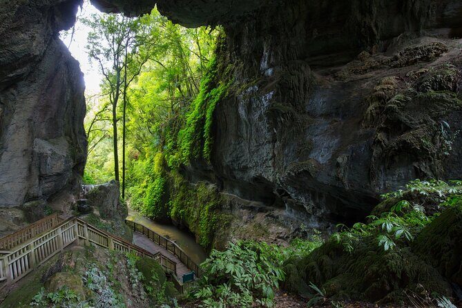 From Auckland: Rotorua & Waitomo Wonders Tour - Transportation and Practicalities