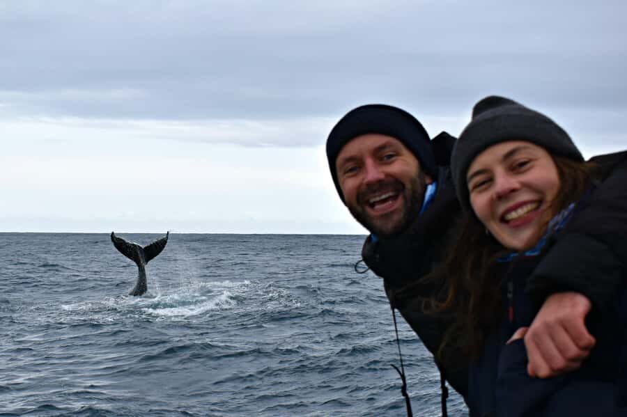 From Augusta: Whale Watching Award Winning Tour - The Crew and Vessel