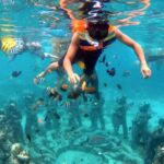From Bali: 2-Day Gili Trawangan Escape with Hotel & Snorkel - The Itinerary Breakdown