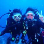 From Bali: Beginner Scuba Diving to Nusa Penida & Lembongan - What Travelers Love and What to Keep in Mind