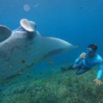 From Bali: Manta Rays Snorkeling with Lembongan Land Tour - Who Should Book This Tour?