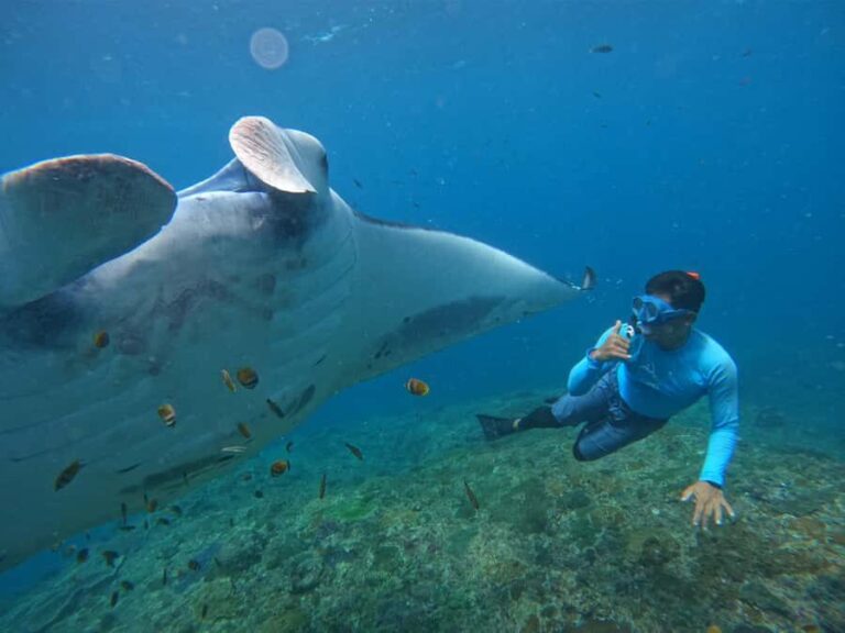 From Bali: Manta Rays Snorkeling with Lembongan Land Tour - Who Should Book This Tour?