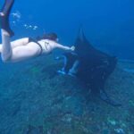 From Bali: Nusa Penida 3 Spots Snorkeling Tour & West Island - What to Expect on the Tour