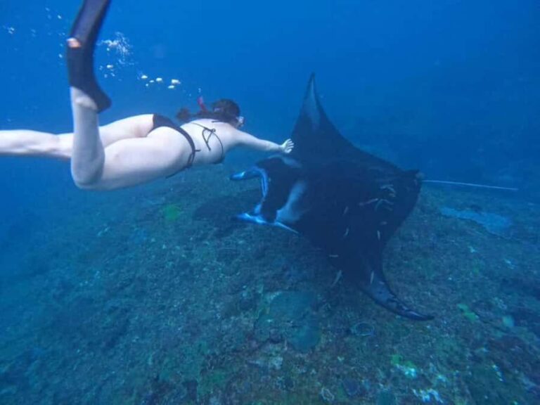 From Bali: Nusa Penida 3 Spots Snorkeling Tour & West Island - What to Expect on the Tour