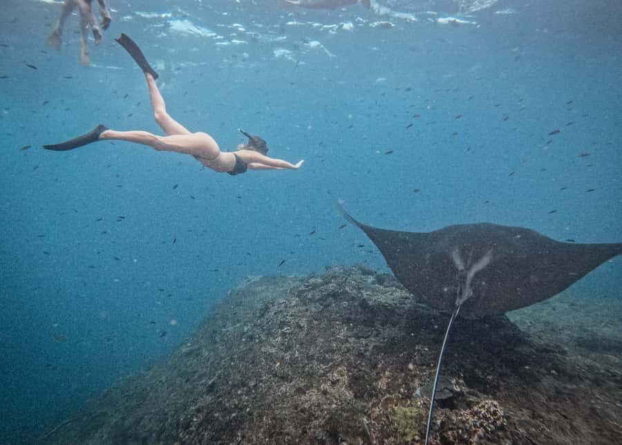 From Bali: Nusa Penida Manta Snorkeling Cruise & Island Tour - What the Reviews Reveal