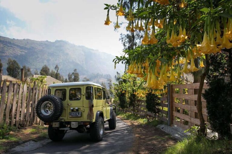 From Bali or Java: Bromo & Kawah Ijen  3-Day Adventure - Itinerary Breakdown: What You Can Expect