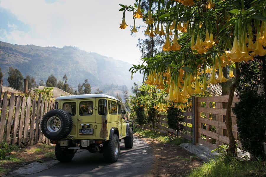 From Bali or Java: Bromo & Kawah Ijen  3-Day Adventure - Itinerary Breakdown: What You Can Expect