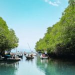 FROM BALI: SAIL, SNORKEL & MANGROVE TOURS TO NUSA LEMBONGAN - The Sailing & Snorkeling Experience