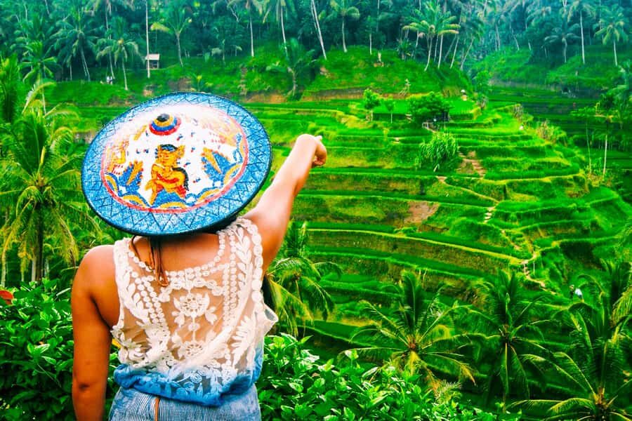 From Bali: Ubud Day Trip - Waterfall, Rice Terraces & More - Who Is This Tour Best For?