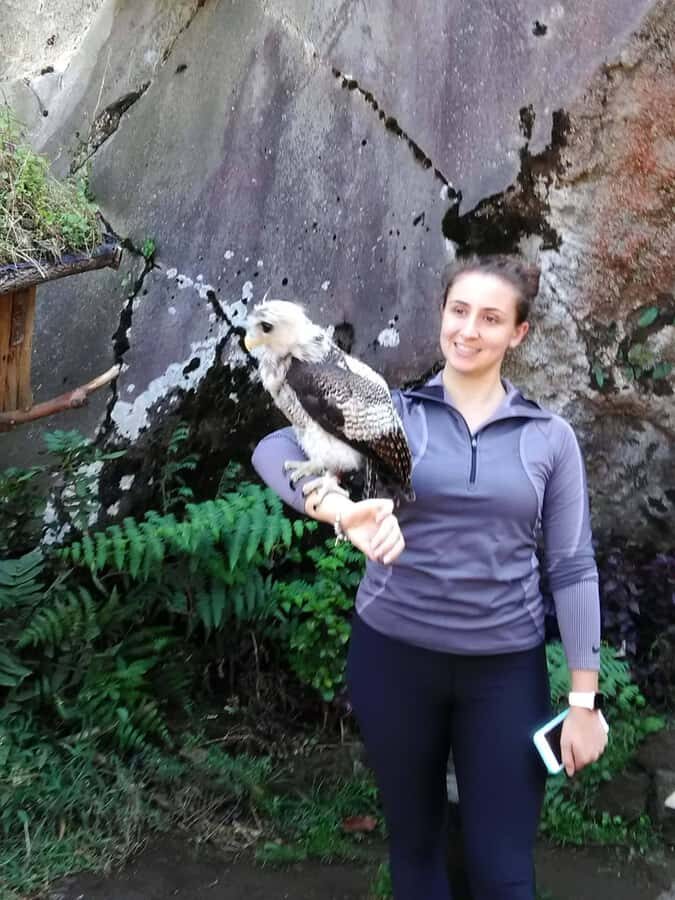 From Bali - Yogyakarta: 8-Days Bali - Java Tour Explore - Travel to East Java: Mount Ijen and Blue Flames