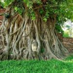 From Bangkok: Ayutthaya 2 Days 1 Night Heritage Escape - Who Would Love This Tour?