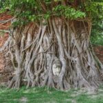 From Bangkok: Ayutthaya Day Tour by Bus with River Cruise - What to Expect: A Full Day of Discovery