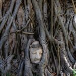 From Bangkok: Ayutthaya Private Day Trip - What Sets This Tour Apart?