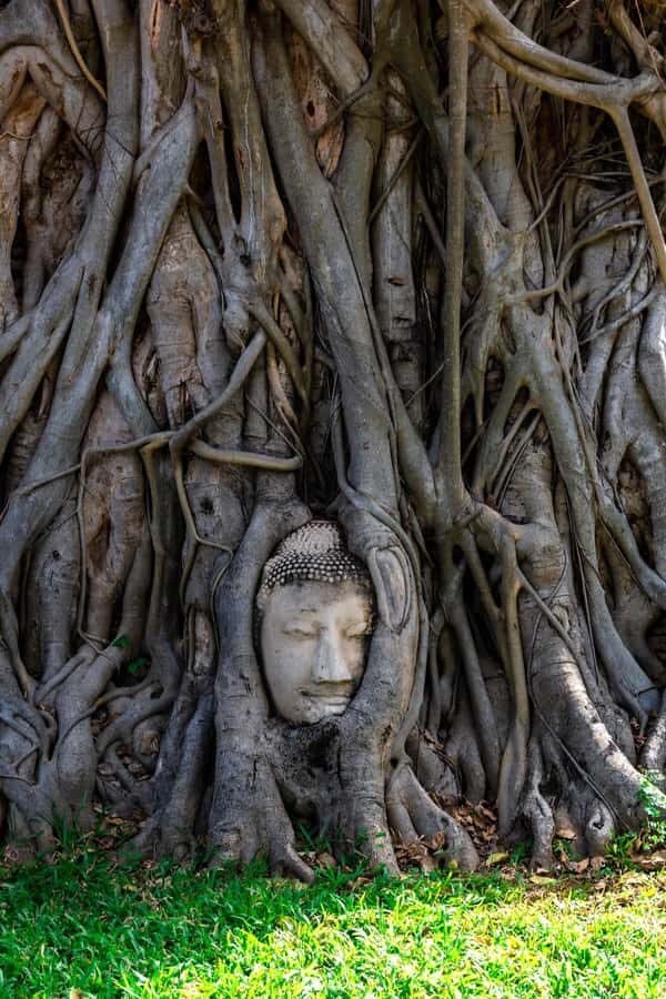From Bangkok: Ayutthaya Private Day Trip - What Sets This Tour Apart?