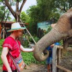 From Bangkok: Elephant Park Tour with Feeding & Mud Spa - The Experience in Detail