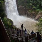 From Bangkok: Khao Yai National Park Day Trip - How Good is the Value?