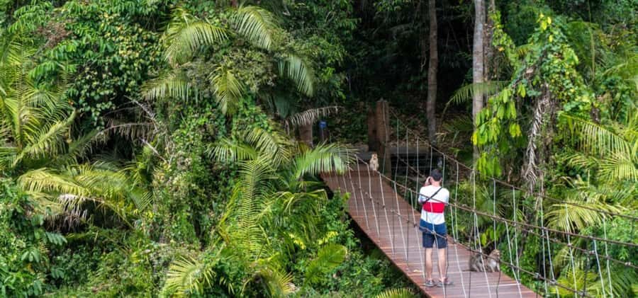 From Bangkok: Khao Yai Private Charter with Multiple Options - Exploring the Itinerary in Detail