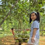 From Bangkok: Taste and Tune of Samut Songkhram Private Tour - Practical Details and Tips