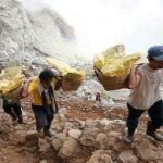 From Banyuwangi: Kawah Ijen Day Tour Without Blue Fire - The Itinerary: What to Expect from Start to Finish