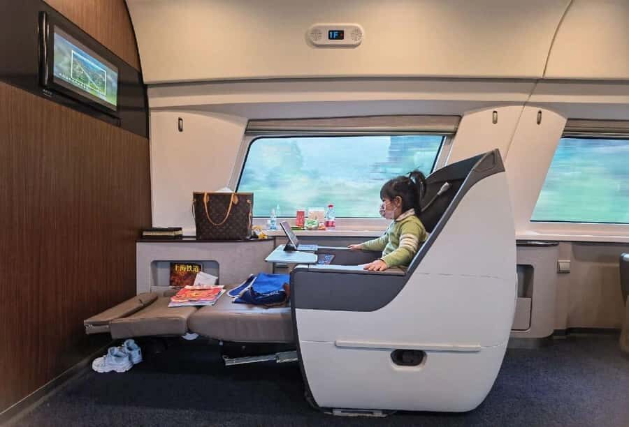 From Beijing: Xi'an Terracotta Army Day Trip by Bullet Train - What Makes This Tour Stand Out