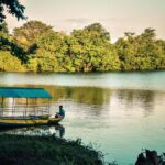 From Bentota: Anuradhapura Guided Day Tour of Ancient Ruins - The Sacred Bo Tree