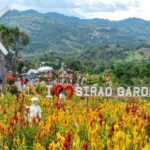 From Bohol: Cebu City and Mountain Tour - In-Depth Look at the Itinerary