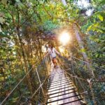 From Brisbane: Lamington National Park Rainforest Tour - What Makes This Tour Stand Out?