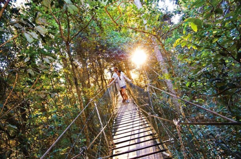 From Brisbane: Lamington National Park Rainforest Tour - What Makes This Tour Stand Out?