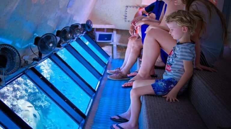 From Cairns: Frankland Island All-Inclusive Day Tour - Discovering the Tour Experience