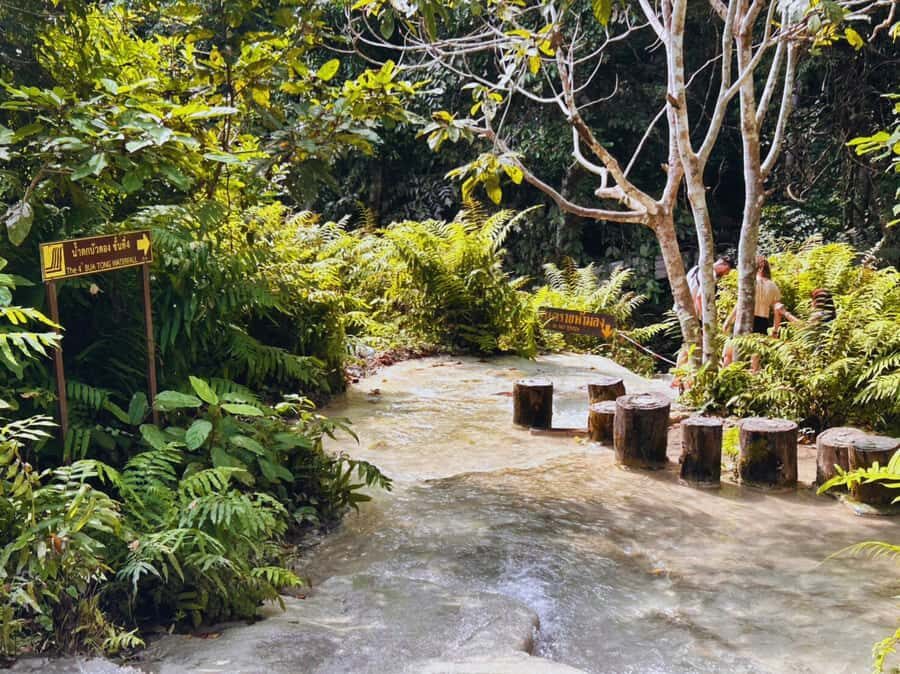 From Chang Mai: Sticky Waterfall Private Day Trip - What Makes This Tour Special?