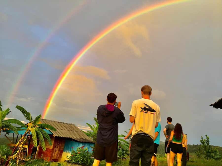 From Chiang Mai: 2-Day Trek with Hill Tribe Stay & Elephants - Detailed Review of the Tour Experience